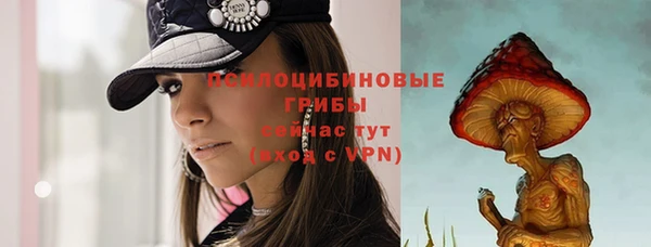 Альфа ПВП Баксан
