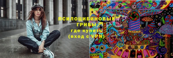 apvp Арсеньев