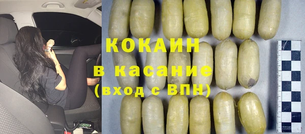 ГАЛЛЮЦИНОГЕННЫЕ ГРИБЫ Корсаков