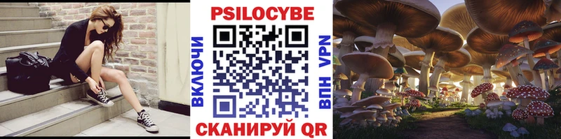 Галлюциногенные грибы Psilocybine cubensis  купить   Облучье 